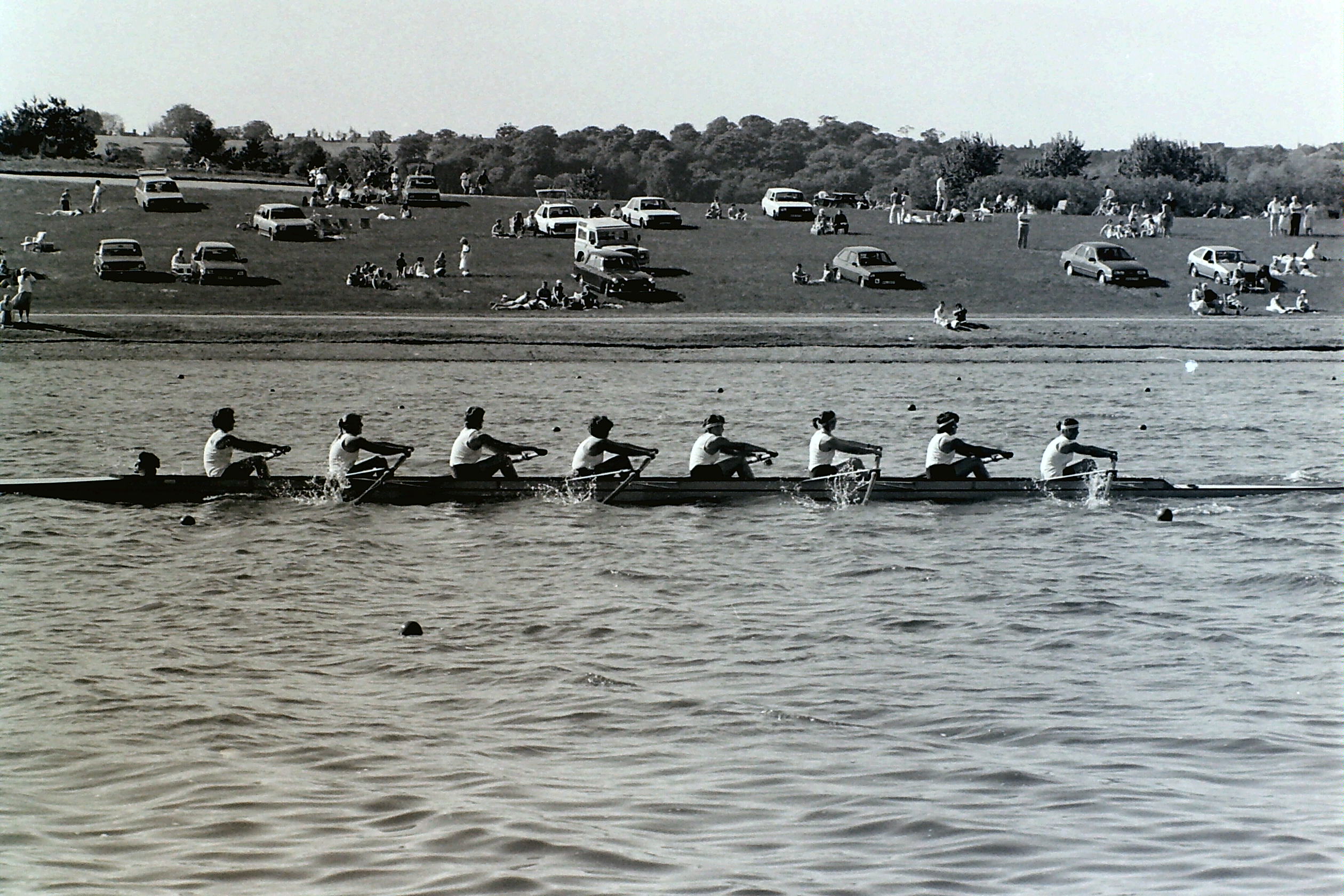 Winners W VIII NIR 1985